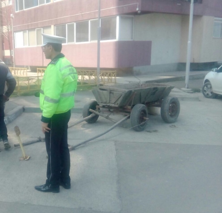 campanie de ecologizare la constanta tone de gunoaie si deseuri adunate in cadrul campaniei organizate campanie de ecologizare la constanta tone de gunoaie si deseuri adunate in cadrul campaniei organizate