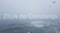 Poezia zilei Revenirea - Irina Lucia Mihalca