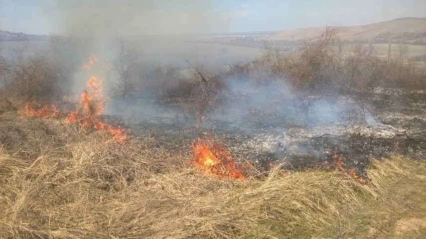 judetul tulcea incendiu in apropierea localitatii telita intervin salvatorii galerie foto 655686 judetul tulcea incendiu in apropierea localitatii telita intervin salvatorii galerie foto 655686