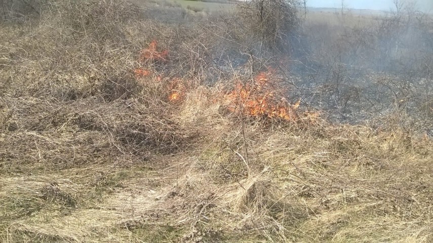 judetul tulcea incendiu in apropierea localitatii telita intervin salvatorii galerie foto 655686 judetul tulcea incendiu in apropierea localitatii telita intervin salvatorii galerie foto 655686