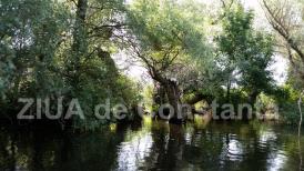 Atenție pescari. Începe prohibiția generală. De astăzi puneți undițele în pod 