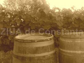 #citeșteDobrogea Cognacul și romul, băuturi falsificate aflate pe masa dobrogenilor. Lucrări din Biblioteca Virtuală ZIUA de Constanța  