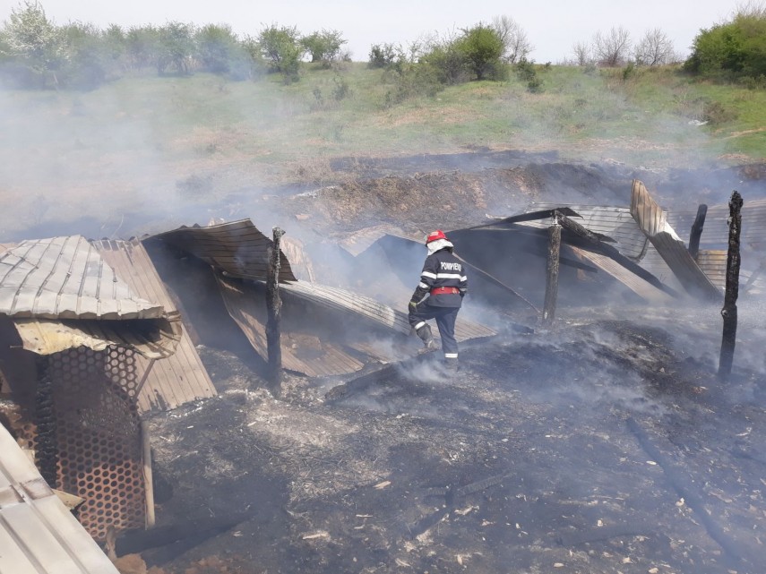 incendiu violent in localitatea greci judetul tulcea de la ce a pornit focul pompierii au intervenit incendiu violent in localitatea greci judetul tulcea de la ce a pornit focul pompierii au intervenit