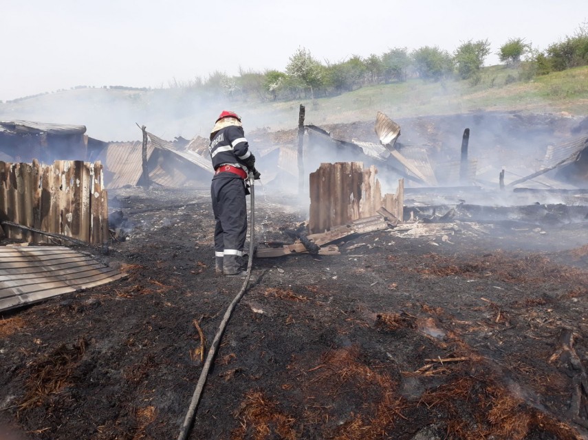 incendiu violent in localitatea greci judetul tulcea de la ce a pornit focul pompierii au intervenit incendiu violent in localitatea greci judetul tulcea de la ce a pornit focul pompierii au intervenit