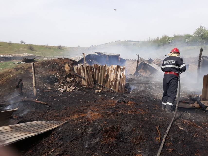 incendiu violent in localitatea greci judetul tulcea de la ce a pornit focul pompierii au intervenit incendiu violent in localitatea greci judetul tulcea de la ce a pornit focul pompierii au intervenit