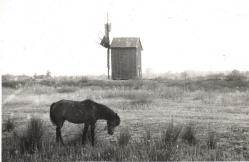 Călători străini prin Dobrogea (CLXXXI.15) - Henry Barkley (MB - Scoţia) (galerie foto)