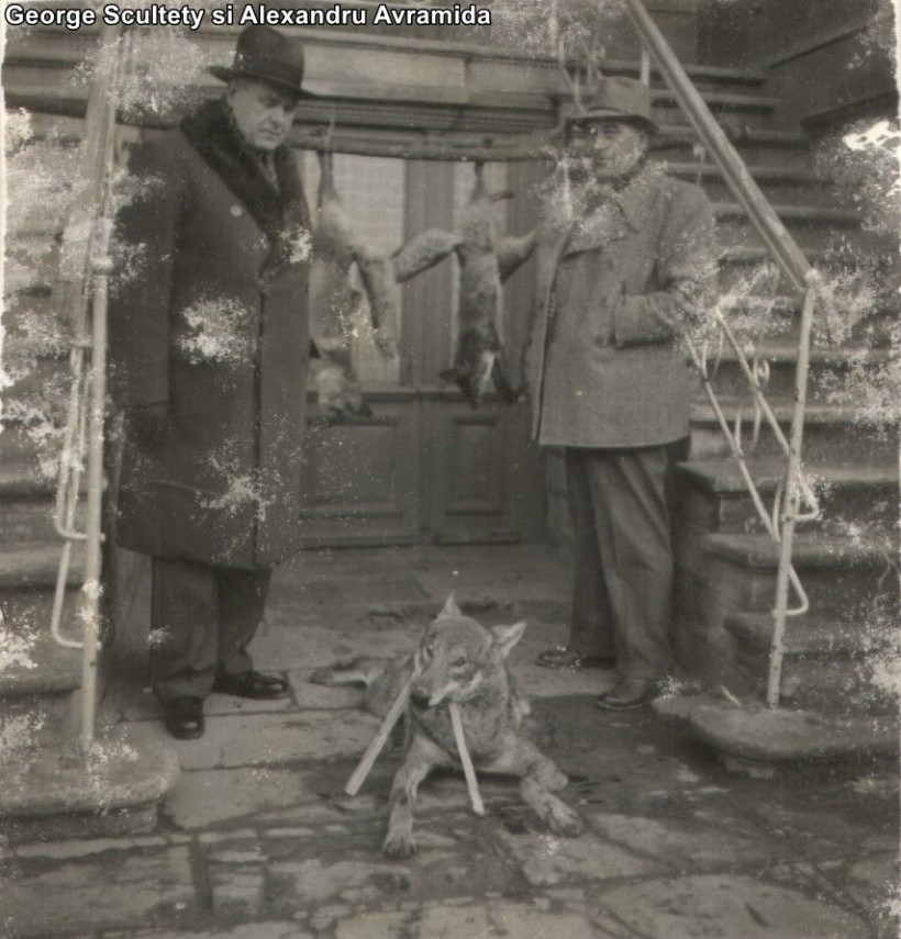 file din istoria orasului tulcea familia avramide galerie foto 656833 file din istoria orasului tulcea familia avramide galerie foto 656833