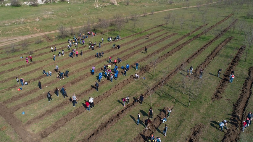 iubim pamantul iubim natura iubim viata zeci de persoane au participat la actiunea primariei cumpana iubim pamantul iubim natura iubim viata zeci de persoane au participat la actiunea primariei cumpana