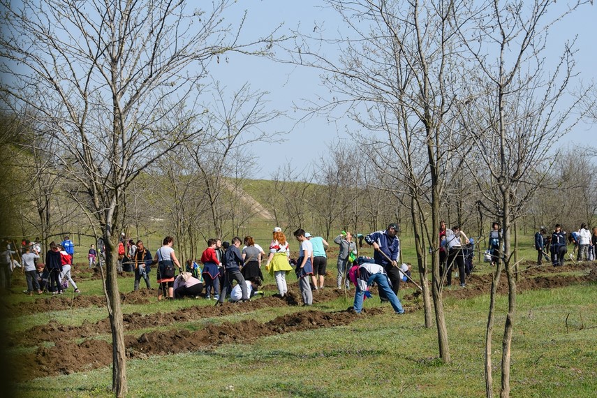 iubim pamantul iubim natura iubim viata zeci de persoane au participat la actiunea primariei cumpana iubim pamantul iubim natura iubim viata zeci de persoane au participat la actiunea primariei cumpana