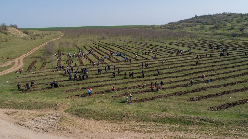 iubim pamantul iubim natura iubim viata zeci de persoane au participat la actiunea primariei cumpana iubim pamantul iubim natura iubim viata zeci de persoane au participat la actiunea primariei cumpana