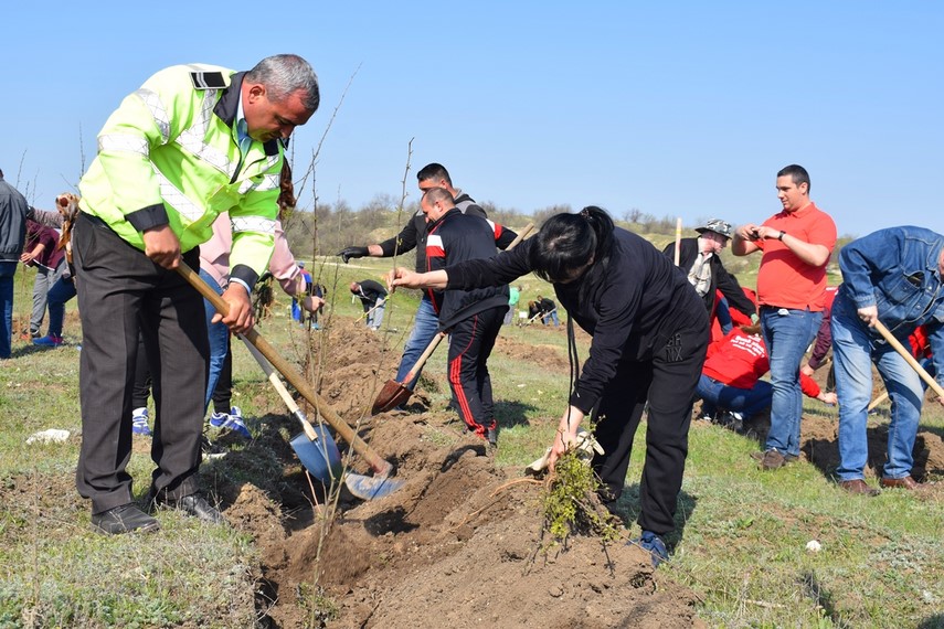 iubim pamantul iubim natura iubim viata zeci de persoane au participat la actiunea primariei cumpana iubim pamantul iubim natura iubim viata zeci de persoane au participat la actiunea primariei cumpana