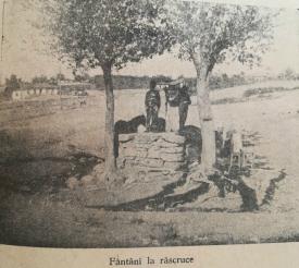 #citeşteDobrogea Ce salarii primeau în America emigranţii macedoromâni. Lucrări din Biblioteca Virtuală ZIUA de Constanţa   