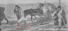 #citeşteDobrogea Despre infecţii la naştere şi rufărie neigienică. Lucrări din Biblioteca Virtuală ZIUA de Constanţa 