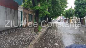 Peisaj incredibil la Constanța. După ploaie, trotuarele s-au acoperit cu un covor alb. Ce s-a întâmplat (fotoreportaj+video)