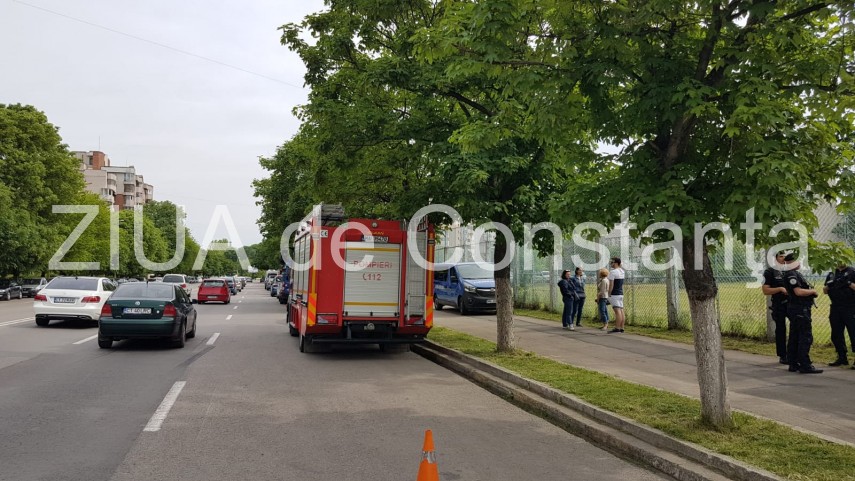 constanta desfasurare impresionanta de forte la meciul de baseball romania sua galerie foto 658783 constanta desfasurare impresionanta de forte la meciul de baseball romania sua galerie foto 658783