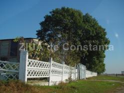 Falimentul societăţii Nazarcea Ovidiu SA, din nou în atenţia judecătorilor 