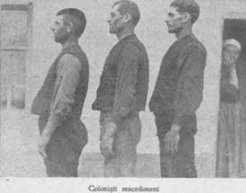 #citeșteDobrogea În prim-planul obiceiurilor de nuntă la aromâni sunt cântecele. Lucrări din Biblioteca Virtuală ZIUA de Constanța    