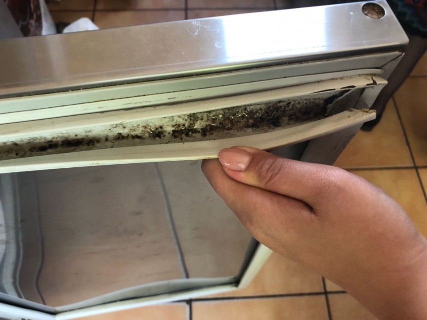 chiosc din incinta liceului energetic din constanta controlat de cjpc constanta ce au depistat comisarii chiosc din incinta liceului energetic din constanta controlat de cjpc constanta ce au depistat comisarii