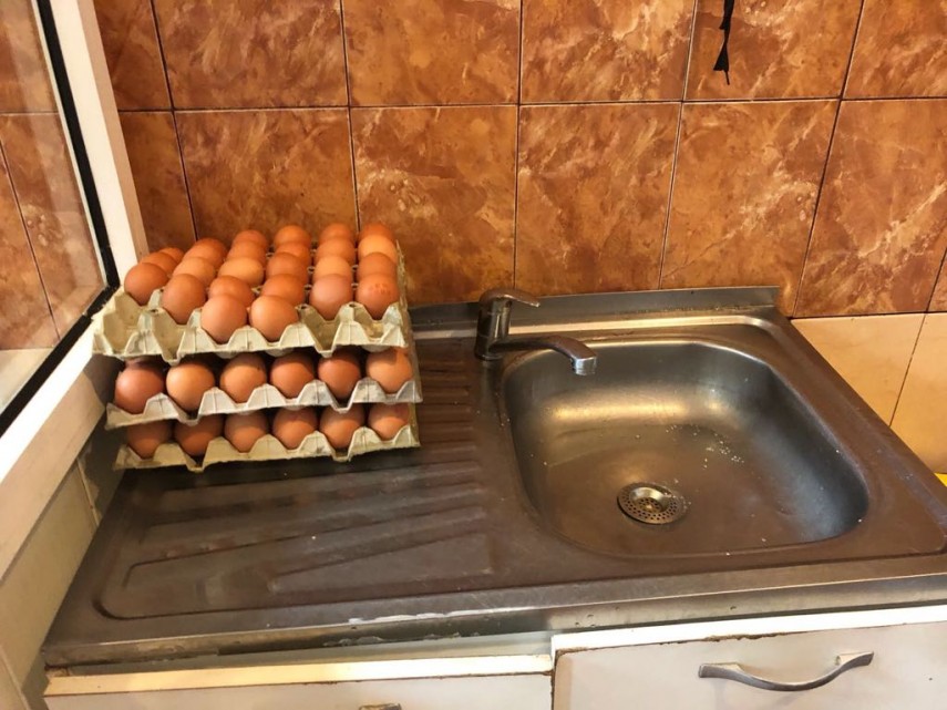 control al comisarilor cjpc constanta la un restaurant din constanta incredibil in ce conditii era pregatita control al comisarilor cjpc constanta la un restaurant din constanta incredibil in ce conditii era pregatita