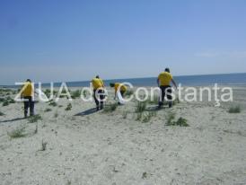 Acțiunea 5S Public, la Constanța Spațiile publice din România, ecologizate în stil japonez