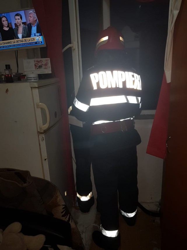 operatiune da salvare a unei pisici la tulcea galerie foto 661687 operatiune da salvare a unei pisici la tulcea galerie foto 661687