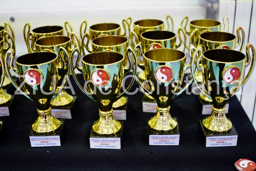 imagini de la eveniment campionatul national de kung fu se desfasoara astazi la constanta intrarea e imagini de la eveniment campionatul national de kung fu se desfasoara astazi la constanta intrarea e