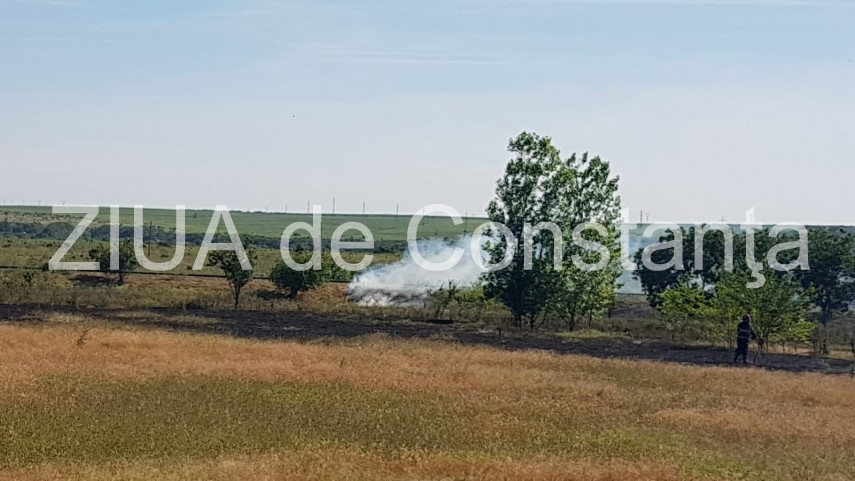 alerta la isu dobrogea un incendiu a izbucnit in apropierea penitenciarului poarta alba pompieri chemati alerta la isu dobrogea un incendiu a izbucnit in apropierea penitenciarului poarta alba pompieri chemati