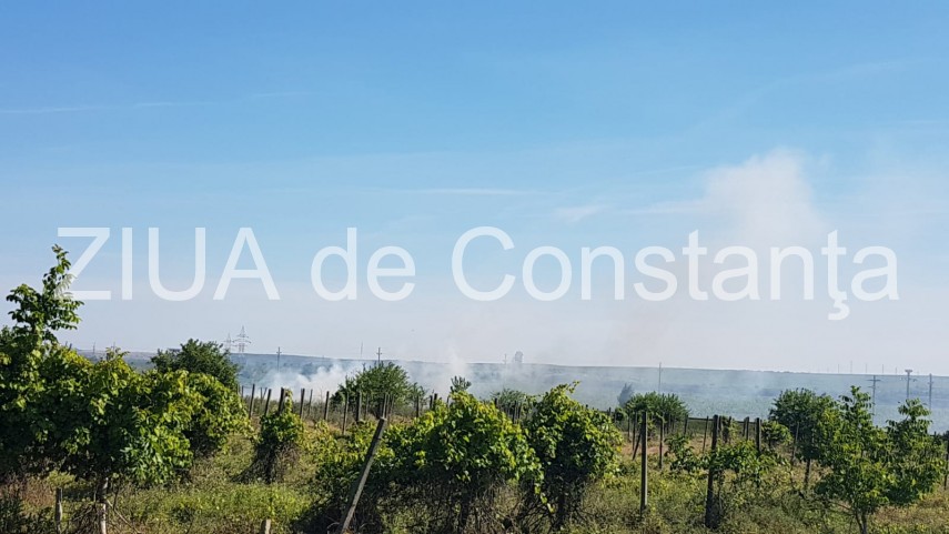 alerta la isu dobrogea un incendiu a izbucnit in apropierea penitenciarului poarta alba pompieri chemati alerta la isu dobrogea un incendiu a izbucnit in apropierea penitenciarului poarta alba pompieri chemati