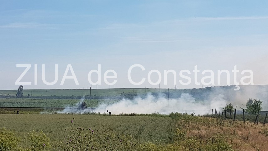 alerta la isu dobrogea un incendiu a izbucnit in apropierea penitenciarului poarta alba pompieri chemati alerta la isu dobrogea un incendiu a izbucnit in apropierea penitenciarului poarta alba pompieri chemati
