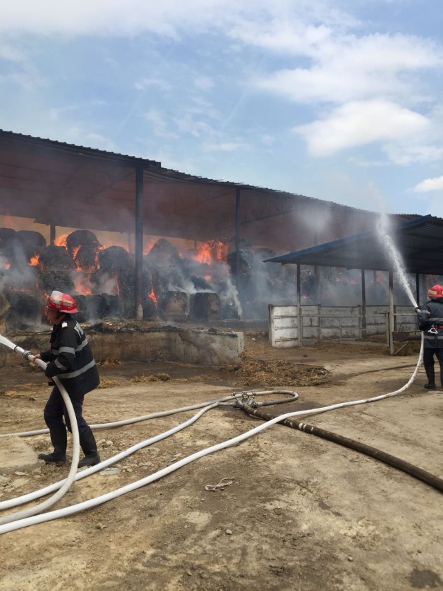 incendiu de amploare in localitatea horia judetul constanta mai bine de doua zile s au luptat pompierii incendiu de amploare in localitatea horia judetul constanta mai bine de doua zile s au luptat pompierii