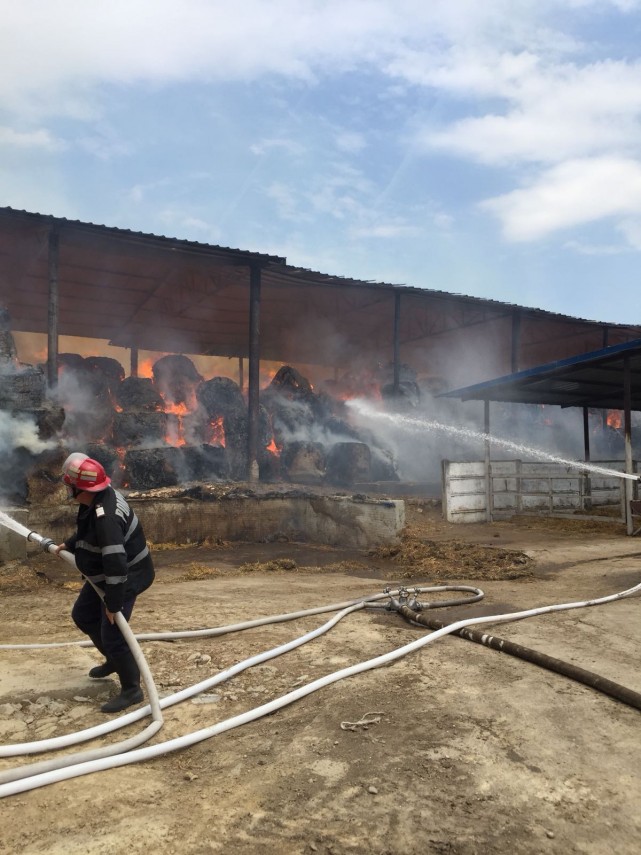 incendiu de amploare in localitatea horia judetul constanta mai bine de doua zile s au luptat pompierii incendiu de amploare in localitatea horia judetul constanta mai bine de doua zile s au luptat pompierii