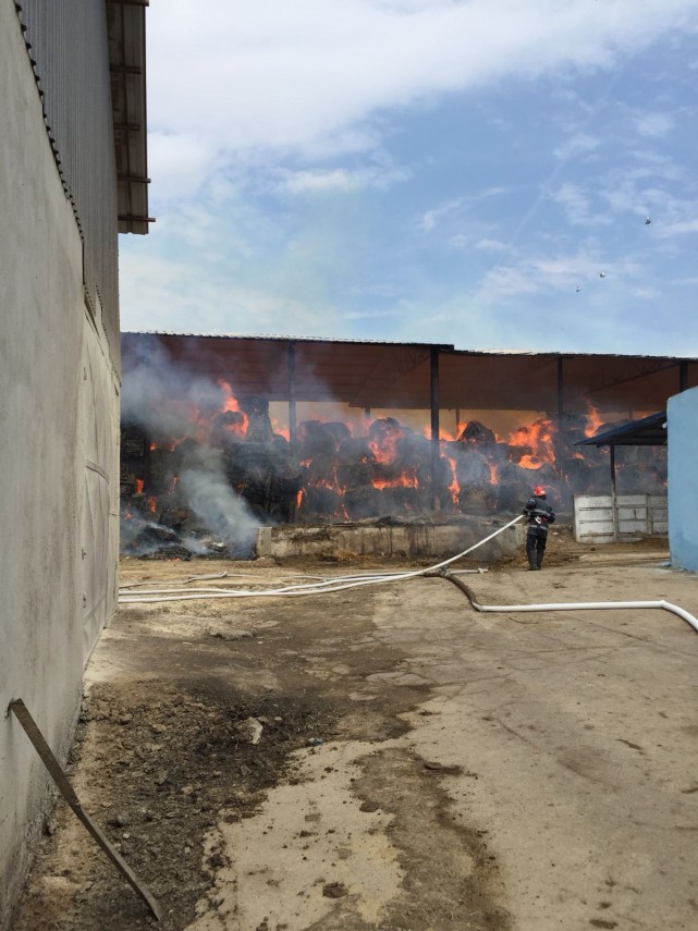 incendiu de amploare in localitatea horia judetul constanta mai bine de doua zile s au luptat pompierii incendiu de amploare in localitatea horia judetul constanta mai bine de doua zile s au luptat pompierii
