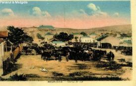 #scrieDobrogea Abdul Hagi Cherim şi Kemal Hagi Amet, primarii care au construit şi modernizat Medgidia (galerie foto)   