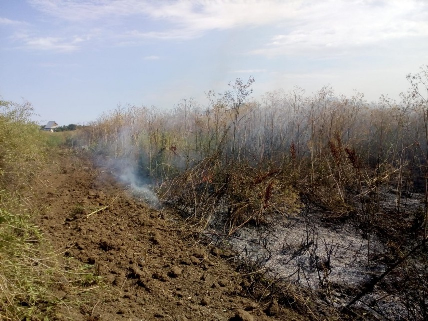 incendiu de amploare in judetul tulcea pompierii isu delta chemati in ajutor in localitatea salcioara incendiu de amploare in judetul tulcea pompierii isu delta chemati in ajutor in localitatea salcioara