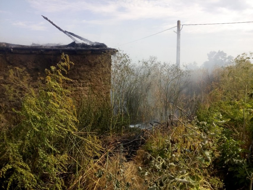 incendiu de amploare in judetul tulcea pompierii isu delta chemati in ajutor in localitatea salcioara incendiu de amploare in judetul tulcea pompierii isu delta chemati in ajutor in localitatea salcioara