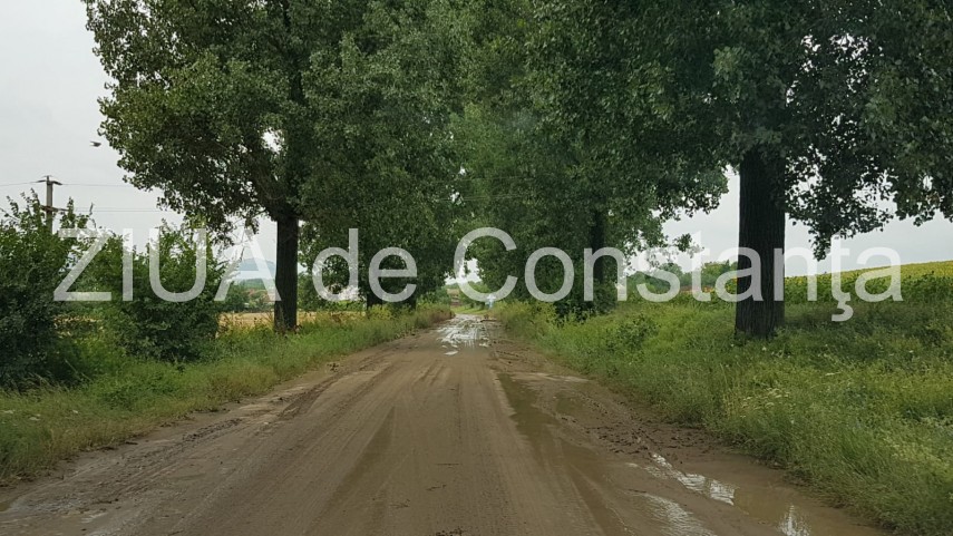 judetul tulcea inundatii masive in localitatea nicolae balcescu 662703 judetul tulcea inundatii masive in localitatea nicolae balcescu 662703