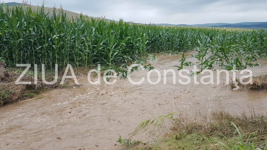 judetul tulcea inundatii masive in localitatea nicolae balcescu 662703 judetul tulcea inundatii masive in localitatea nicolae balcescu 662703