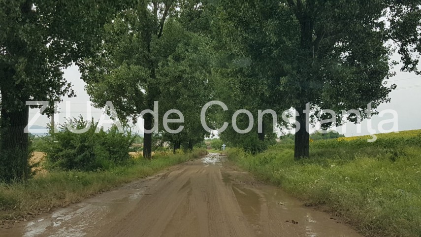 judetul tulcea inundatii masive in localitatea nicolae balcescu 662703 judetul tulcea inundatii masive in localitatea nicolae balcescu 662703