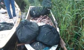 Județul Tulcea. Peste 600 kg de pește și plase de pescuit, confiscate de polițiștii de frontieră! (galerie foto)