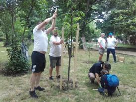 LIVE, de la eveniment! Continuă acțiunea de montare a tutorilor și de îngrijire a copacilor, în Parcul din Tomis II (galerie foto-video)        