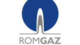 ROMGAZ are un nou director general. Află ce funcții a mai deținut acesta (document)   