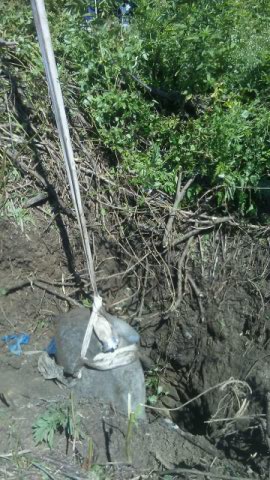 cal cazut intr o fantana in judetul tulcea 663300 cal cazut intr o fantana in judetul tulcea 663300