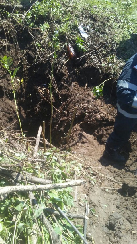 cal cazut intr o fantana in judetul tulcea 663300 cal cazut intr o fantana in judetul tulcea 663300