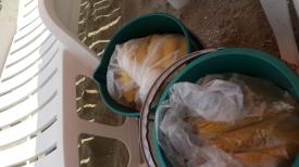 Agenții economici care au închiriat plajă în Mamaia, în vizorul polițiștilor locali