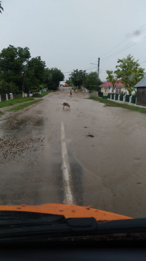 trafic oprit pe dn22a harsova tulcea din cauza ploii torentiale 663489 trafic oprit pe dn22a harsova tulcea din cauza ploii torentiale 663489