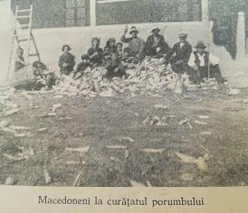 #citeşteDobrogea Prevestiri din lumea fizică sau animală, la aromâni. Lucrări din Biblioteca Virtuală ZIUA de Constanţa  