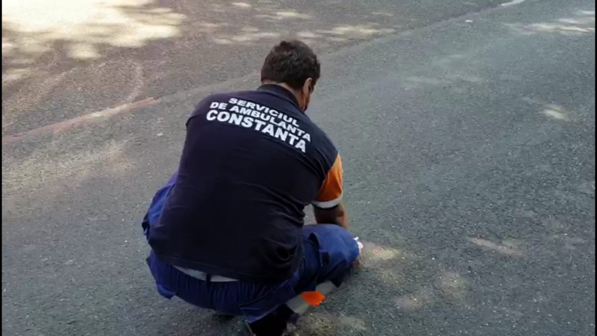 constanta biciclist ranit pe dn 39 costinesti 664555 constanta biciclist ranit pe dn 39 costinesti 664555