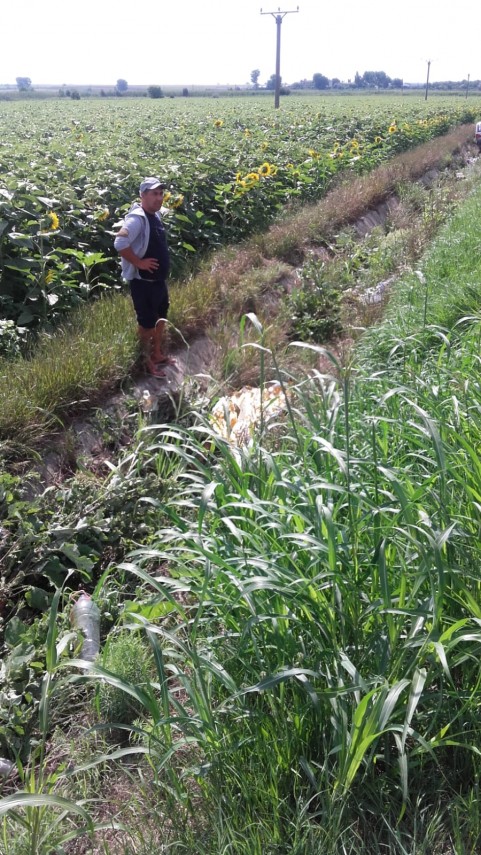 judetul constanta accident rutier in zona giurgeni vadu oii un copil resuscitat intervine elicopterul judetul constanta accident rutier in zona giurgeni vadu oii un copil resuscitat intervine elicopterul