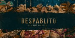 Melodia Zilei Delia x Grasu XXL - Despablito (Official Video)