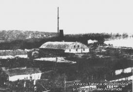 Dezvoltarea economică a orașului Tulcea pe ramuri industriale între 1919 și 1939 (galerie foto) 